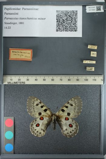 Media type: image;   Entomology 174855
